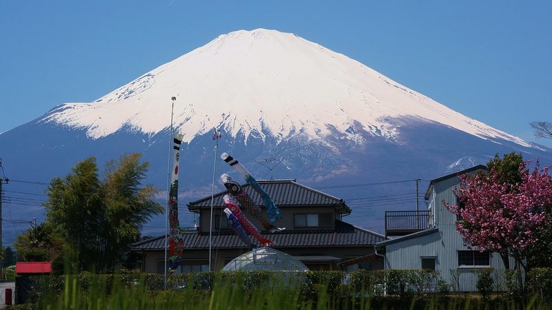 富士山を背景にした大小のこいのぼり サイズ感のイメージ